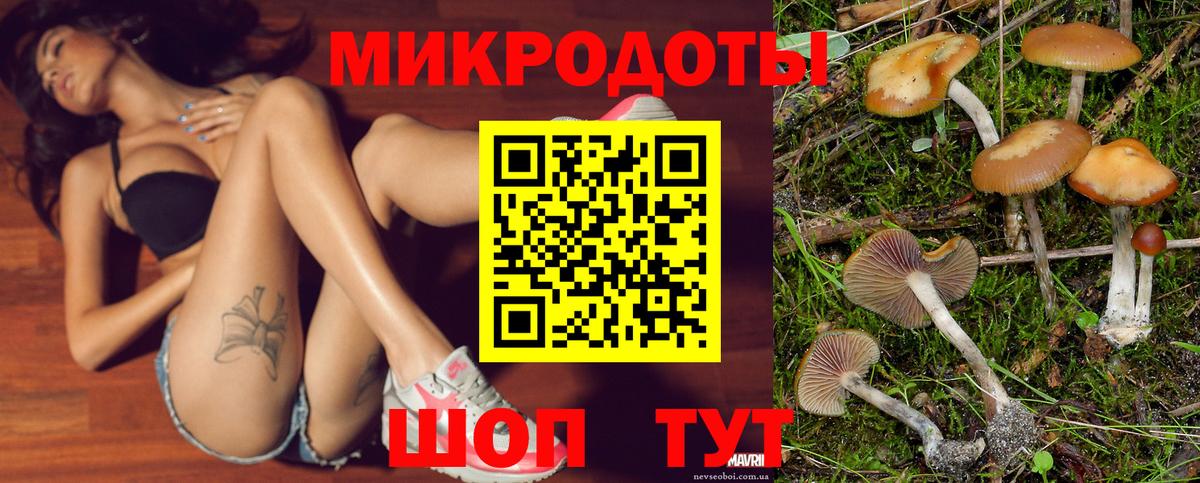 Кизилюрт  Псилоцибиновые грибы ЛСД  Вход с VPN 